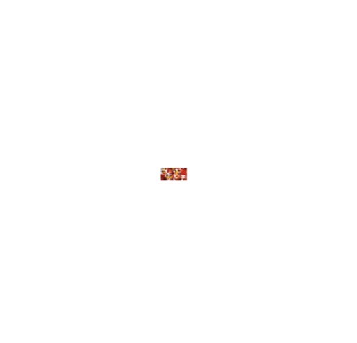 gallery_img