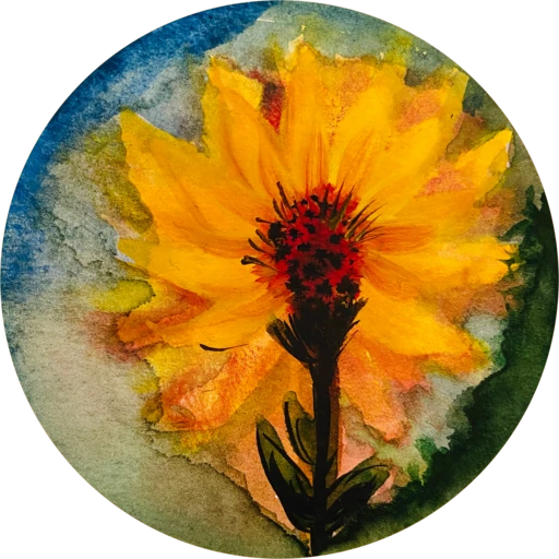 gallery_img